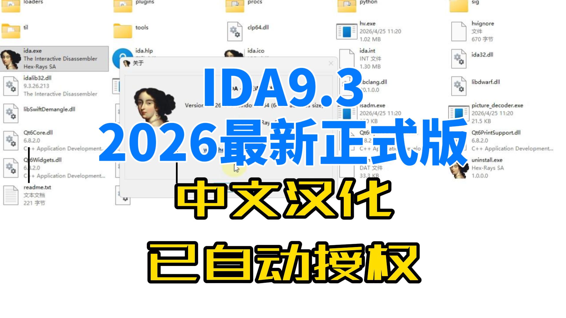 IDA9.3 2026正式最新版中文汉化版,自动授权