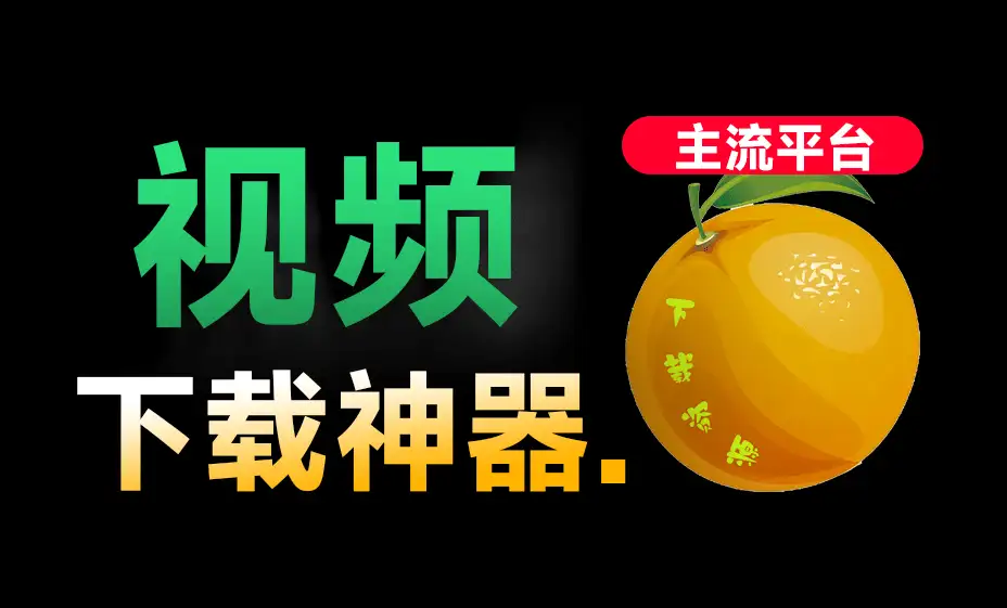 全平台视频下载器