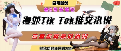 海外tiktok小说推文暴力项目，高停留率，高转化率，上手后一天搞顿饭钱不是问题