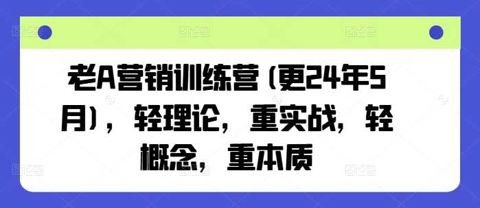 老A营销训练营(更25年3月),轻理论,重实战,轻概念,重本质