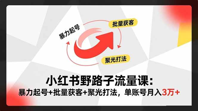 (16513期)小红书野路子流量课:暴力起号+批量获客+聚光打法,单账号月入3万+ (16513期)小红书野路子流量课:暴力起号+批量获客+聚光打法,单账号月入3万+