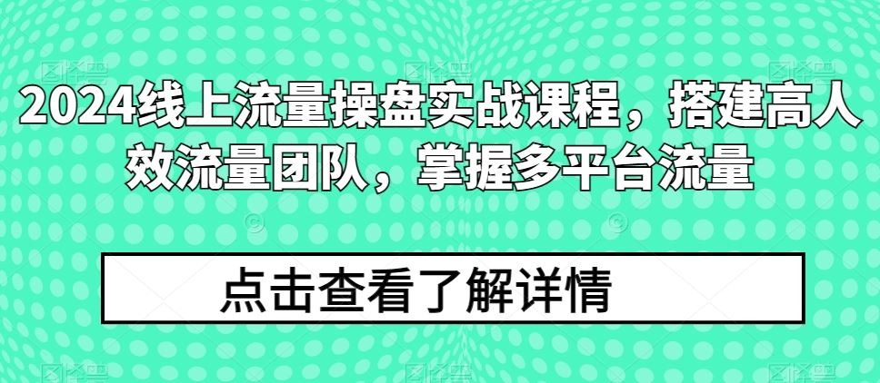 线上流量操盘实战课程,搭建高人效流量团队,掌握多平台流量