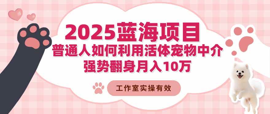 （1353期）活体宠物中介新机遇：普通人如何把握蓝海市场，实现稳定收入增长