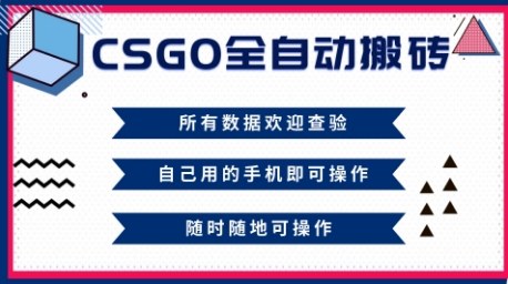 （1382期）CSGO全自动搬砖项目解析：新手轻松掌握操作流程，稳定实现月入过万目标