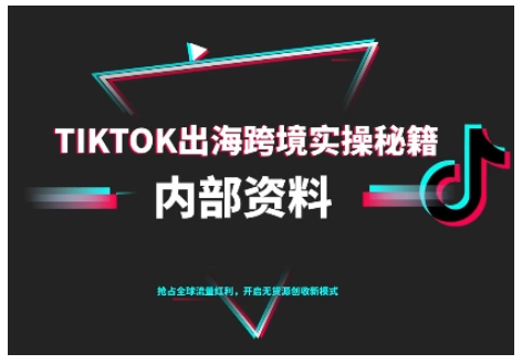 (1485期)TikTok跨境电商从入门到精通:账号搭建、内容运营与出海实战指南