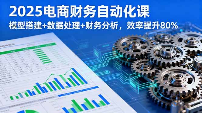 (2063期)电商财务自动化实战指南:模型搭建与数据处理,高效完成财务分析