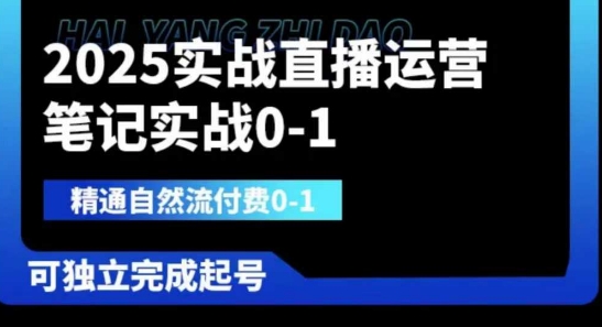 《直播运营实战指南:从自然流量到付费推广,掌握独立起号核心方法》