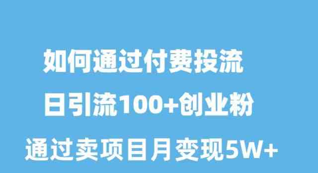 付费投流实战指南：精准吸引创业粉群体，实现稳定月变现目标