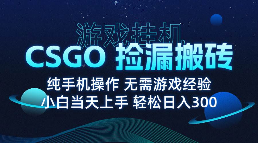 （15820期）8月最新游戏搬砖，CSGO纯挂机，不需要玩游戏，实现真挂机，月入1W+（2）
