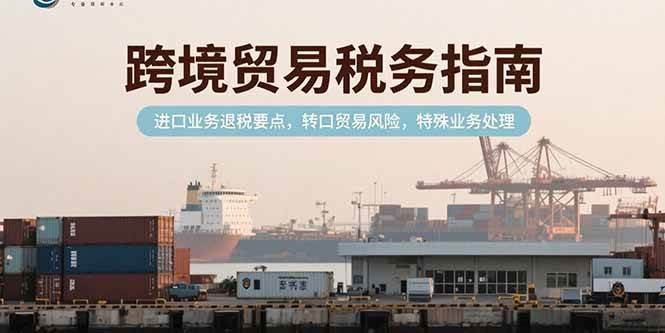 (15381期)跨境贸易税务指南,进口业务退税要点,转口贸易风险,特殊业务处理