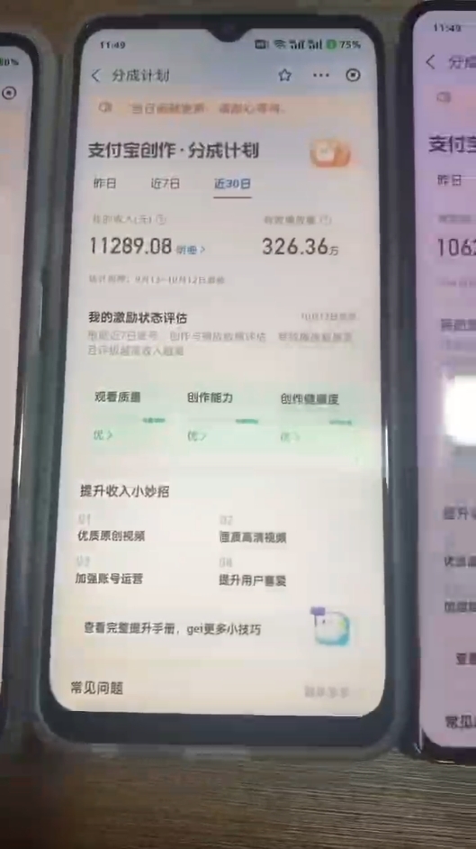 （12970期）2024年底最稳项目，小白无门槛，坚持做三个月，回家过肥年！！！（4）