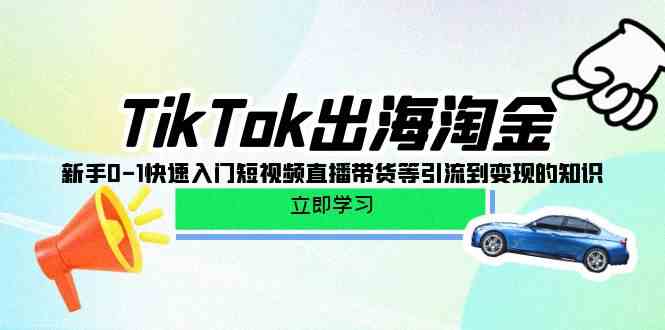 (10035期)TikTok-出海淘金,新手0-1快速入门短视频直播带货等引流到变现的知识