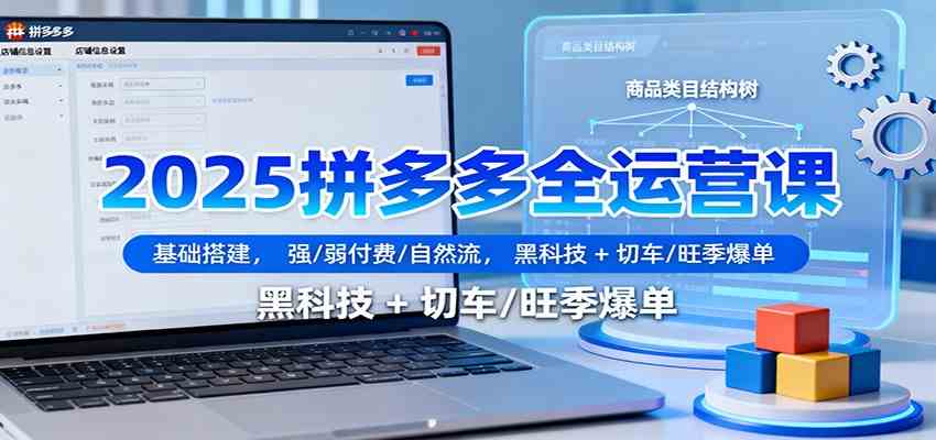 2025拼多多全运营课:基础搭建,强/弱付费/自然流,黑科技 + 切车/旺季爆单
