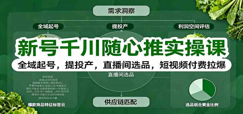 新号千川随心推实操课：全域起号，提投产，直播间选品，短视频付费拉爆