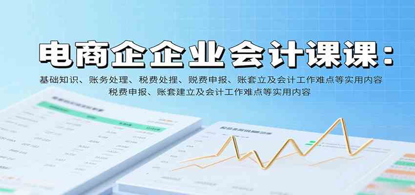 电商企业会计课：基础知识、账务处理、税费申报、账套建立及会计工作难点等实用内容