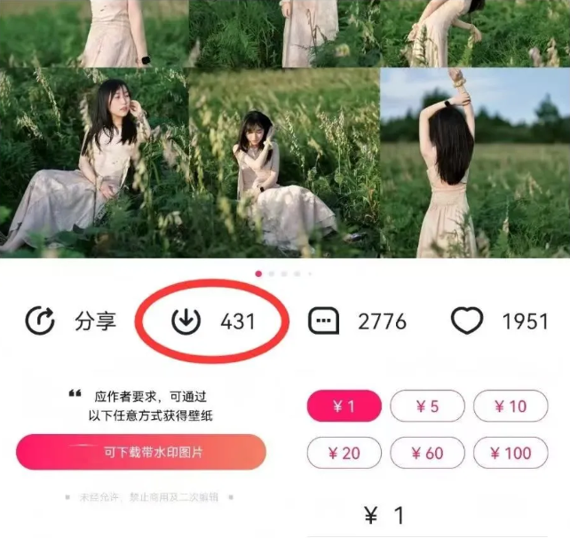 最新图虫搬运项目，收益无上限，利用AI小白也可日赚500+（2）