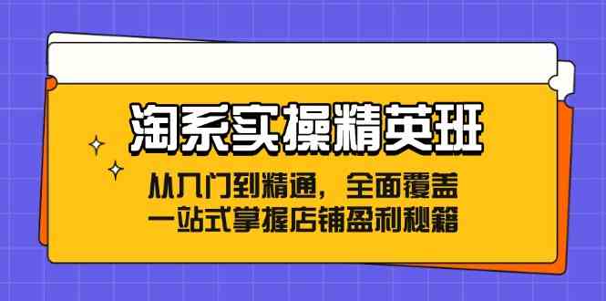 淘系实操精英班:从入门到精通,全面覆盖,一站式掌握店铺盈利秘籍