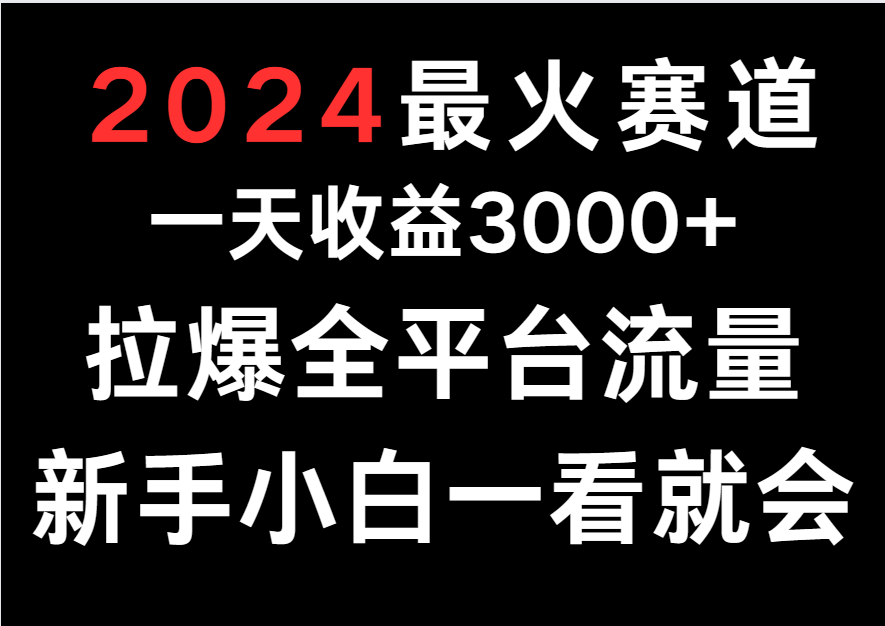 2024最火赛道,一天收一3000+.拉爆全平台流量,新手小白一看就会