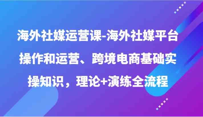 海外社媒运营课-海外社媒平台操作和运营、跨境电商基础实操知识,理论+演练全流程