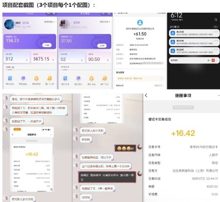 当天能收益的3个小项目拆解_包括平台+操作流程（2）