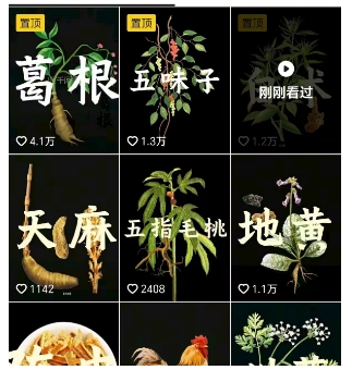 抖音中草药赛道，用AI做中草药故事视频，45条作品涨粉13W，橱窗带货猛猛出单（2）