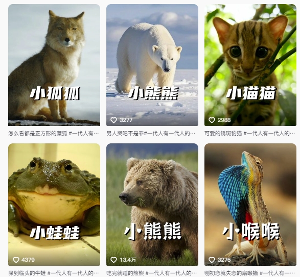 最新搞笑动物百科详细解说课程,蓝海赛道,流量非常大,轻松签独家进精选(2) 最新搞笑动物百科详细解说课程,蓝海赛道,流量非常大,轻松签独家进精选(2)