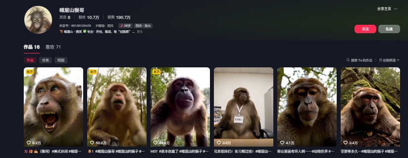 峨眉山猴子短视频爆火攻略、掌握流量密码轻松制作、附赠教程与提示词（2）