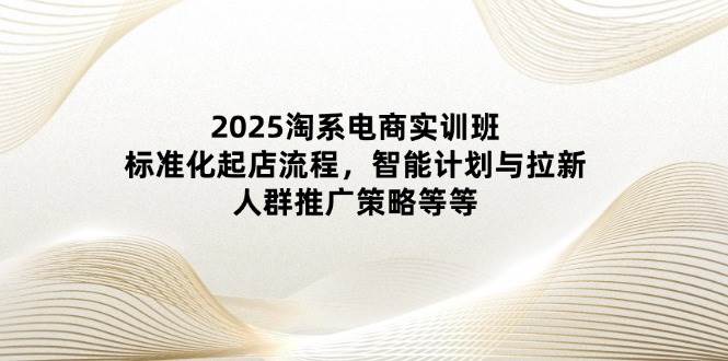 （14522期）2025淘系电商实训班：标准化起店流程，智能计划与拉新，人群推广策略等等