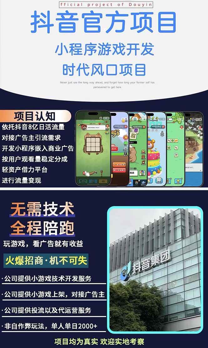 （14512期）2025最热抖音官方项目 Ai时代风口项目小程序游戏开发 实测单个游戏日收…（2）