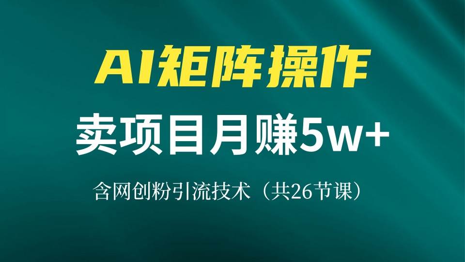 （13335期）网创IP打造课，借助AI卖项目月赚5万+，含引流技术（共26节课）