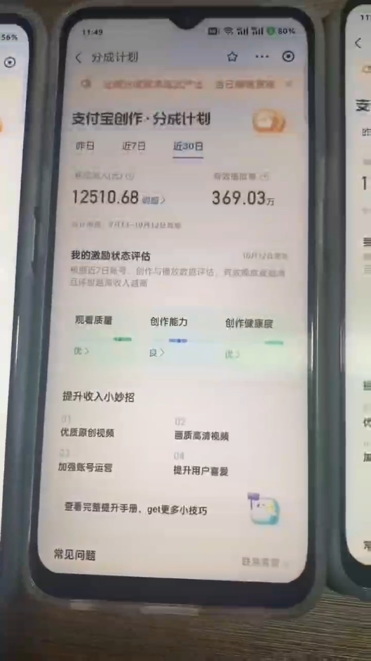 （12970期）2024年底最稳项目，小白无门槛，坚持做三个月，回家过肥年！！！（3）