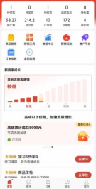 （12035期）拼多多虚拟电商，单人操作10家店，单店日盈利100+（3）