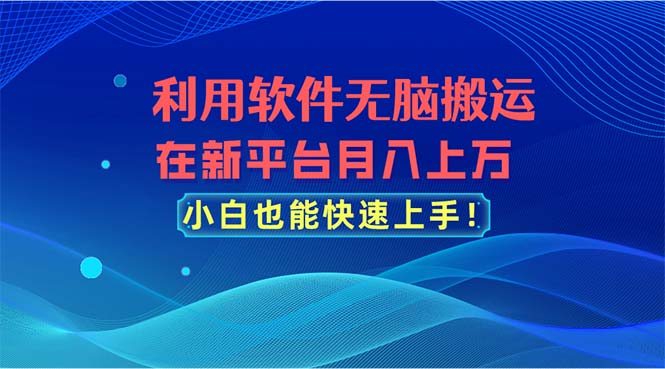 (11078期)利用软件无脑搬运,在新平台月入上万,小白也能快速上手