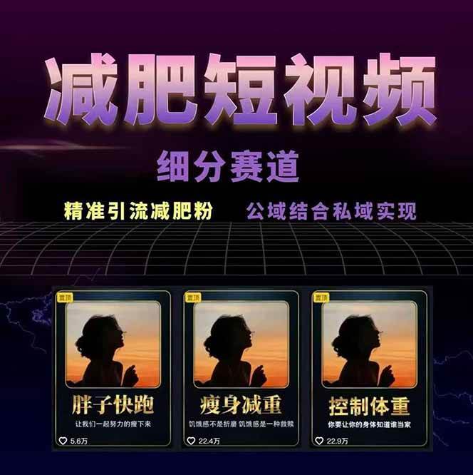减肥短视频运营实战课：含素材制作、剪映教学，讲精准引流、变现设计与内容模板技巧（2）