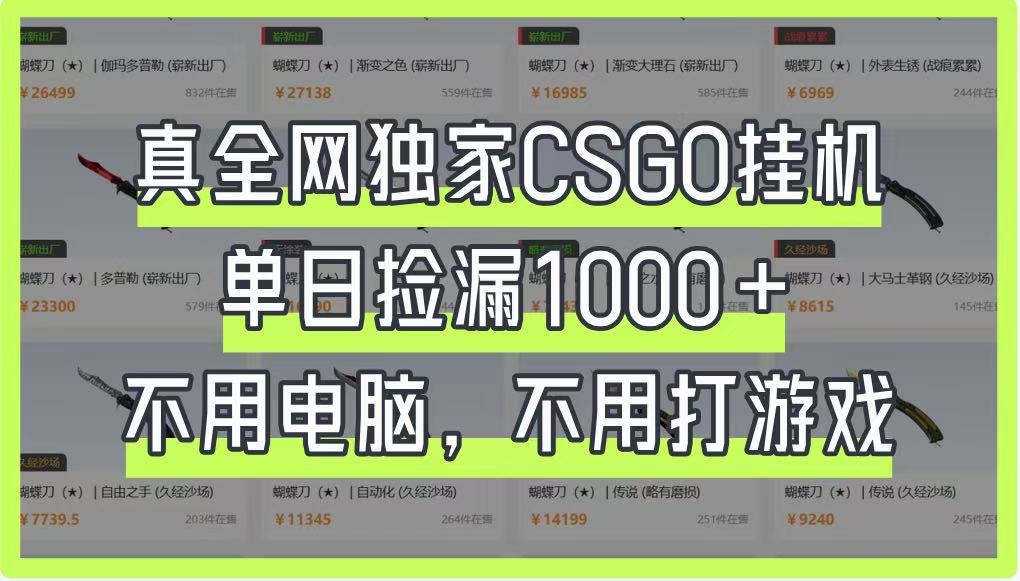 真全网独家CSGO挂机，单日捡漏1000+，不用电脑，不用养号