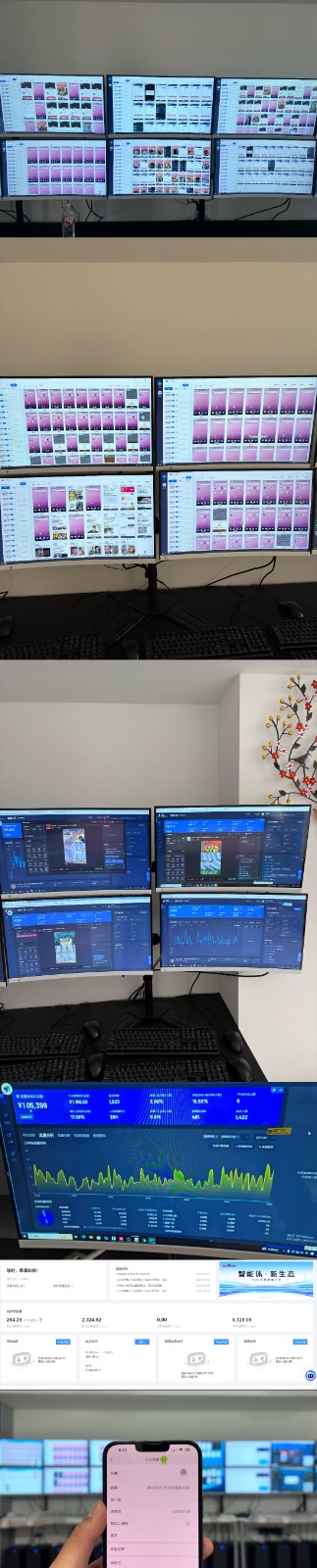 实操项目合集 挂机类型 直播类型 轻资产创业类型 课程分享各项目介绍和原理（2）