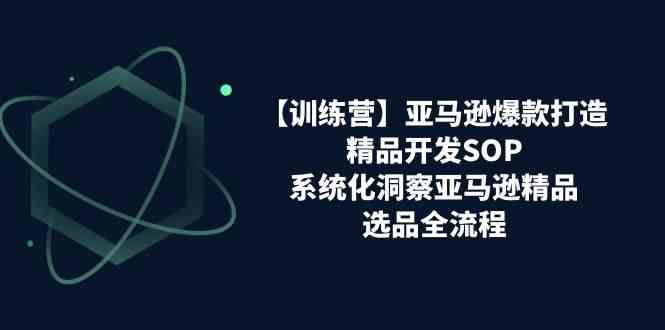 亚马逊爆款打造之精品开发SOP【训练营】,系统化洞察亚马逊精品选品全流程