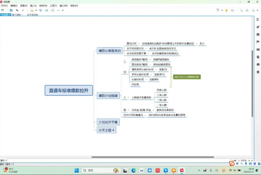 老邓电商标杆，淘宝运营秘籍，直通车更新（2）