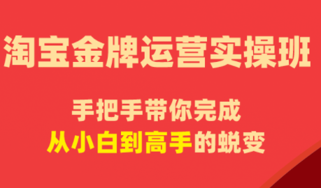 飓风运营，淘宝金牌，实操精讲