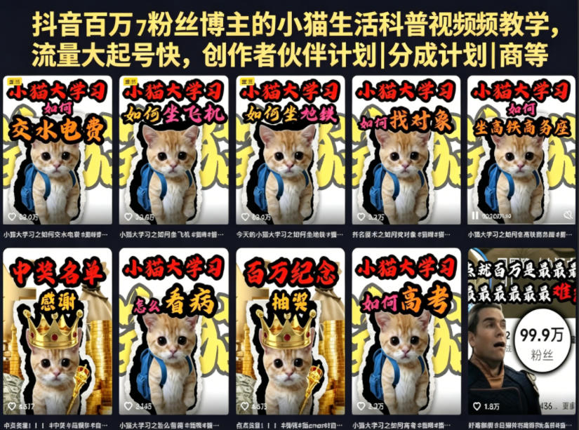 抖音百万粉丝博主的小猫生活科普视频教学，流量大起号快，创作者伙伴计划|分成计划|商单|收徒等